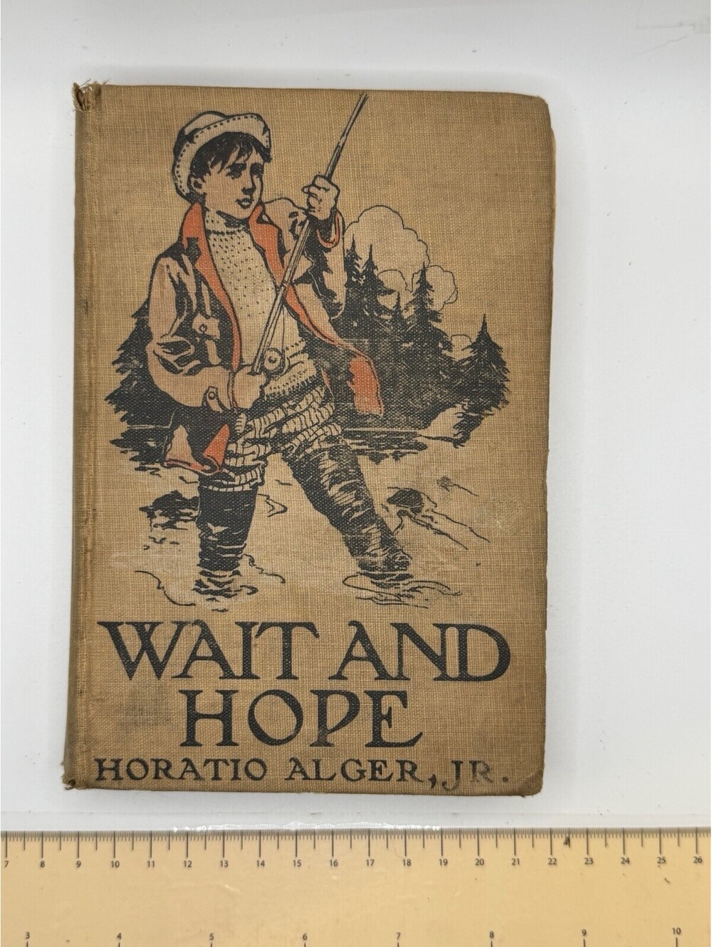 WAIT AND HOPE by Horatio Alger, Jr 1909